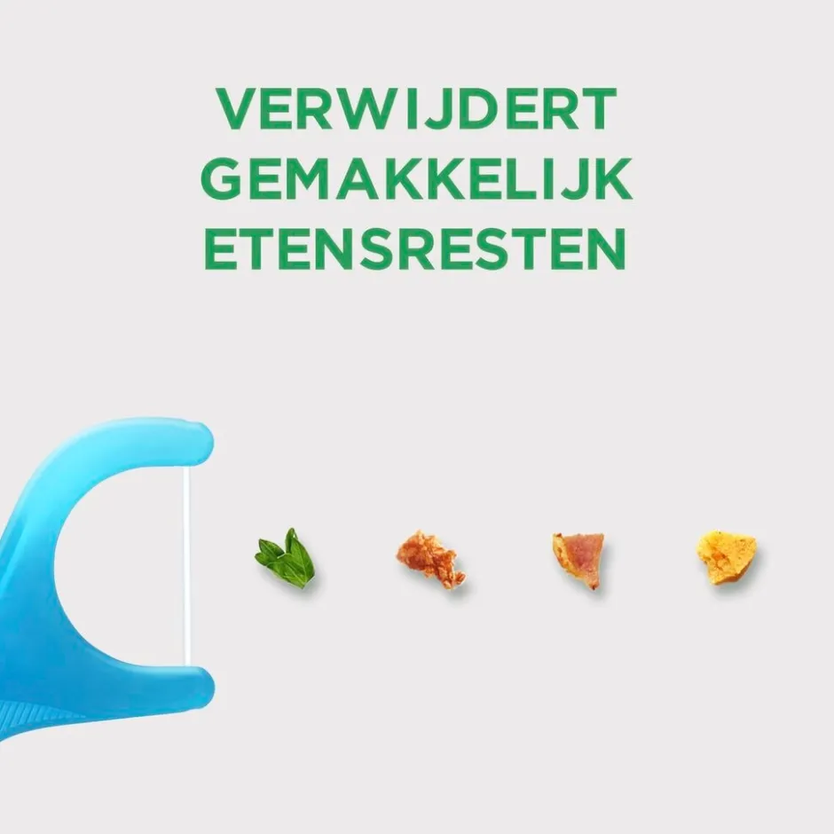 Easy Flossers|Gum Discount