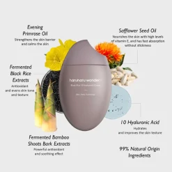 haruharu wonder Black Rice Hyaluronic Cream< Korean Skincare|Nachtcreme