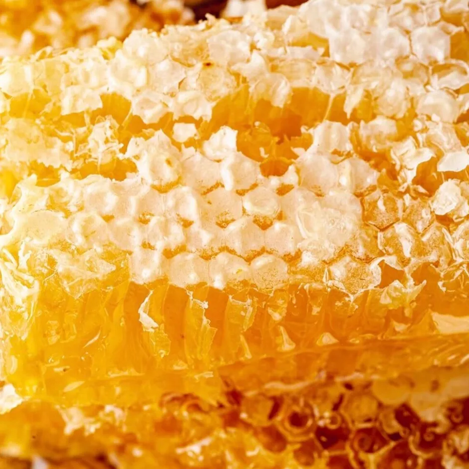 SPF25 Original Honey Infused Lip Balm|HONEYBALM Online