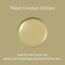 Mugwort Essence|I'm from Outlet
