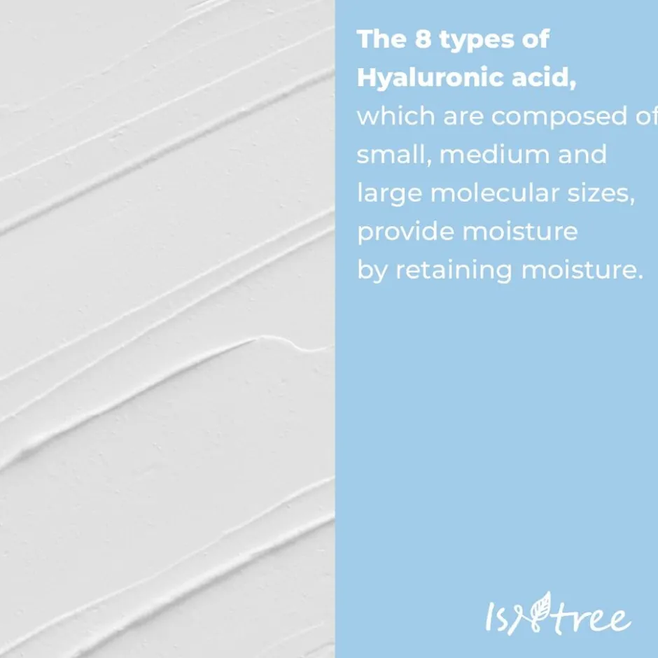 ISNTREE Hyaluronic Acid Low-pH Cleansing Foam< Korean Skincare|Gezichtsreiniging