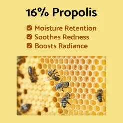 IUNIK Propolis Vitamin Sleeping Mask| Outlet