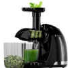 Slowjuicer|KitchenBrothers Best