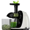 Slowjuicer|KitchenBrothers Sale
