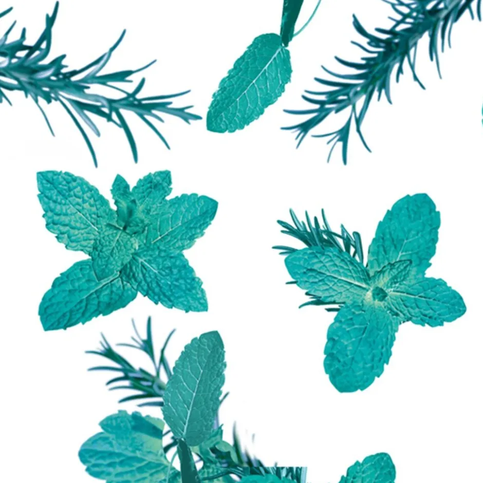 Kneipp Goodbye Stress Watermunt Rozemarijn Badschuim< Badschuim