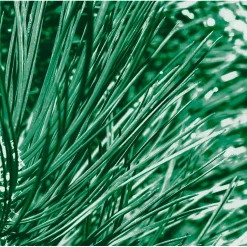 Nature Feeling Dennen, Buffelgras & IJslands Mos 2-in-1 Douche|Kneipp Men Discount