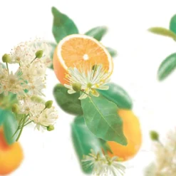 Pure Harmony Sinaasappel Lindebloesem Douchegel|Kneipp New