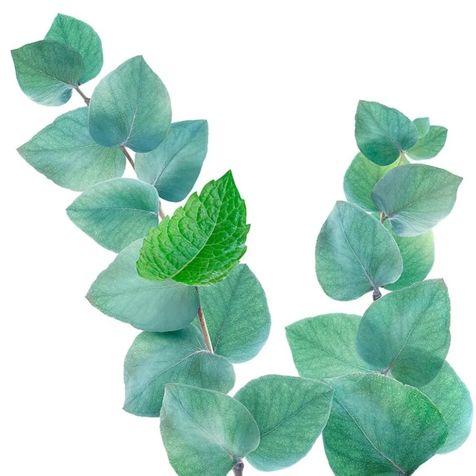 Kneipp Refreshing Mint-Eucalyptus Douchegel< Douchegel