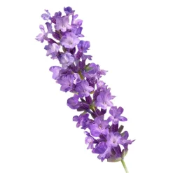 Kneipp Relaxing Lavendel Badkristallen< Badzout