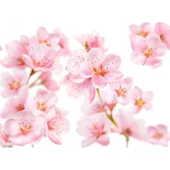 Kneipp Soft Skin Softening Hand Cream< Handcrèmes