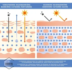 KRUIDVAT DERMA SPF30 Hydraterende Dagcrème< Dagcreme