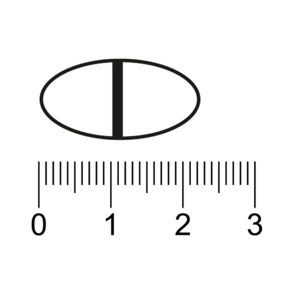 Kruidvat Magnesiumcitraat Tabletten< Mineralen