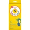 Kruidvat Plantvliegjesval< Insectenbestrijding