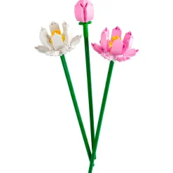 LEGO 40647 Lotusbloemen|LEGO Botanicals