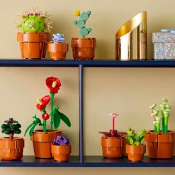 LEGO Botanical Collection 10329 Miniplantjes|LEGO Botanicals Outlet