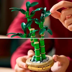 LEGO Botanicals 10344 Lucky Bamboo< Lego Verjaardagscadeaus|Lego Volwassenen