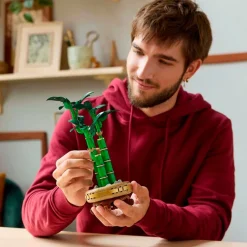LEGO Botanicals 10344 Lucky Bamboo< Lego Verjaardagscadeaus|Lego Volwassenen