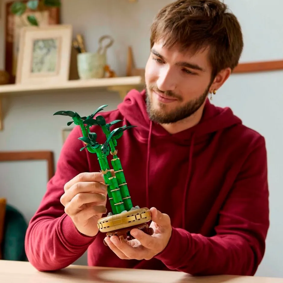LEGO Botanicals 10344 Lucky Bamboo< Lego Verjaardagscadeaus|Lego Volwassenen