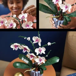 LEGO Botanicals LEGO Icons 10311 Botanical Collection Orchidee< Lego Verjaardagscadeaus|Lego Volwassenen