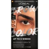 L'Oréal Paris 1.0 Black Brow Color Wenkbrauwverf|L'Oreal