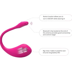 Lush 2 Vibratie Eitje|Lovense Outlet