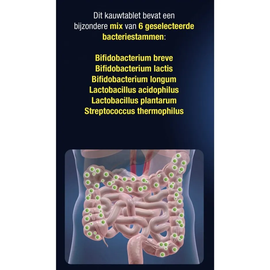 Probiotica Mix Van Zes Bacteriële Stammen|Lucovitaal Sale