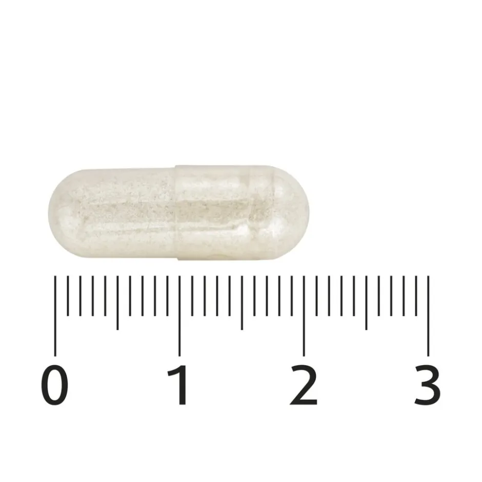 Probiotica Vitaminen & Mineralen Complex Capsules|Lucovitaal Hot