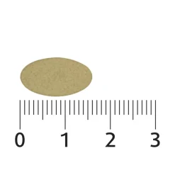 Lucovitaal Sterk IJzer Complex + Vitaminen & Mineralen Tabletten< Mineralen