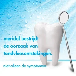 Tandvleesbescherming Mondspoeling|Meridol New