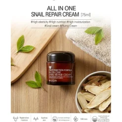 All In One Snail Repair Cream|Mizon Online