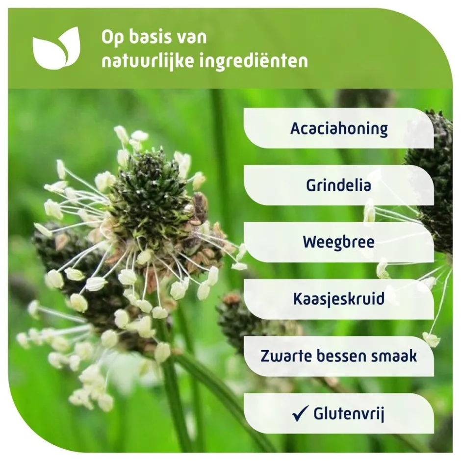 Natterman Voor Alle Hoest Kindersiroop< Baby En Kind Gezondheid|Luchtwegen