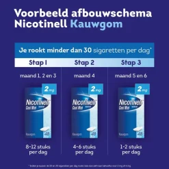 Cool Mint 4mg Kauwgom|Nicotinell Hot