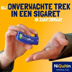 2mg Minizuigtabletten|Niquitin Outlet
