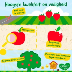 6+M Fruit Variatiemenu|Olvarit