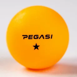 Pegasi 1 ster pingpong ballen 6st.< Tafeltennisballetjes