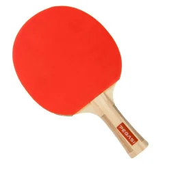 Pegasi tafeltennisbatje 3 ster Skilled< Tafeltennisbatjes