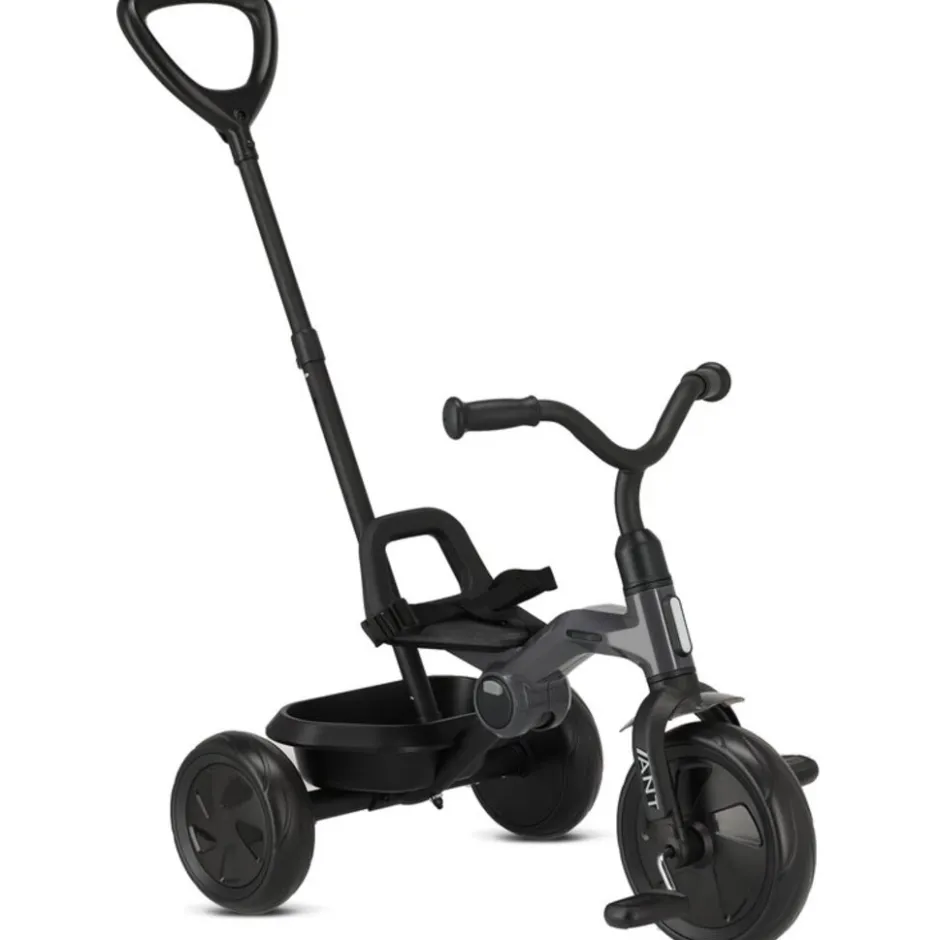 Mooiys Qplay Ant Driewieler met duwstang< Fietsen En Rijden