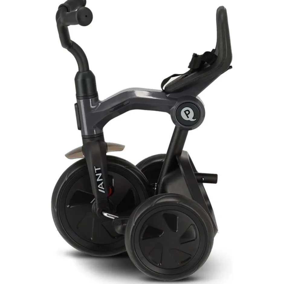 Mooiys Qplay Ant Driewieler met duwstang< Fietsen En Rijden