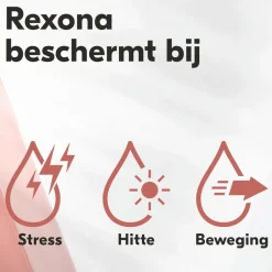 Women Maximum Protection Sensitive Dry Antitranspirant Stick|Rexona Clearance