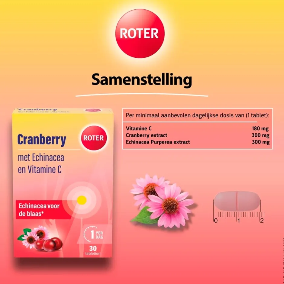 Roter Cranberry Vitamine C en Echinacea Tabletten< Cranberrysupplementen|Vitamines