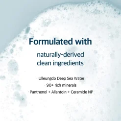 Round Lab 1025 Dokdo Cleanser< Gezichtsreiniging