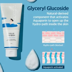 Birch Juice Cleanser|Round Lab Best