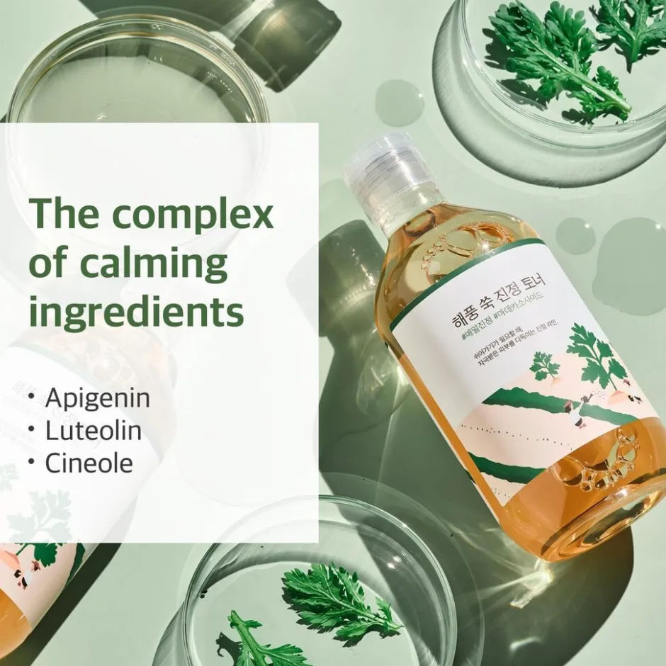 Round Lab Mugwort Toner< Korean Skincare|Gezichtsreiniging