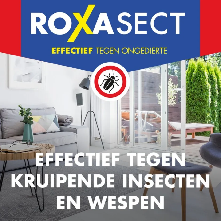 Roxasect Spuitbus tegen Kruipende Insecten en Wespen< Insectenbestrijding