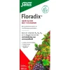 Salus Vloeibaar IJzer-Elixer|Floradix Online