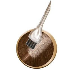Schwarzkopf Vital R2 Goudbruin Haarverf Uitgroeiset|Schwarzkopf Color Online