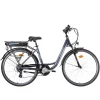 elektrische damesfiets|Scrapper Best