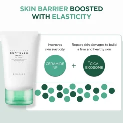 Madagascar Centella Tea-Trica B5 Cream|SKIN1004 Hot