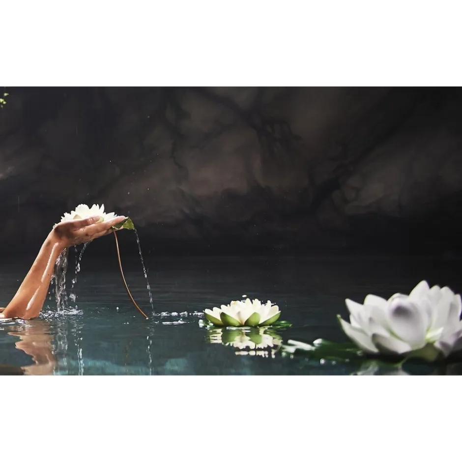 Therme Zen White Lotus Bodyserum< Bodyolie