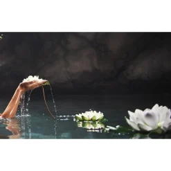 Therme Zen White Lotus Massageolie< Massageolie En Massagelotion